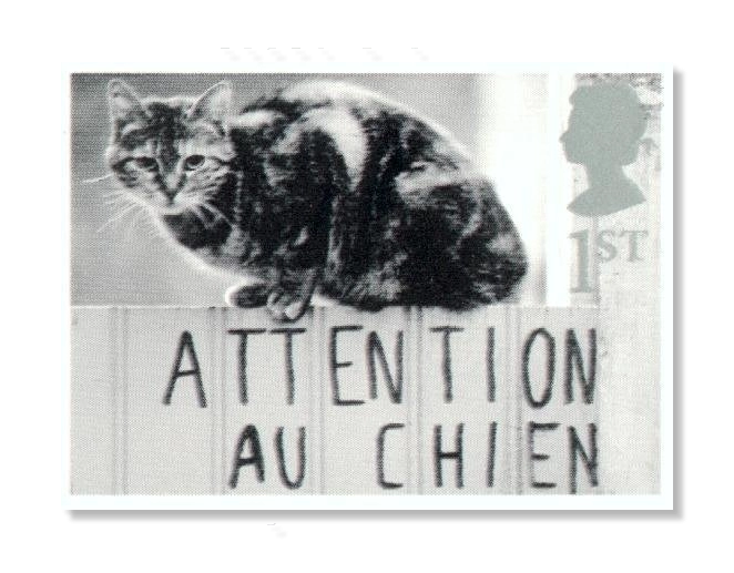2001 GB2191 Cat on Gate