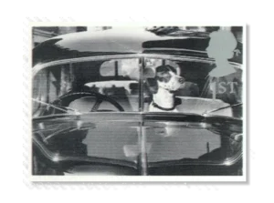 2001 GB2192 Dog in Car