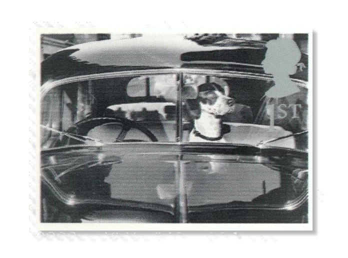 2001 GB2192 Dog in Car