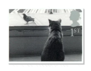 2001 GB2195 Cat watching Bird