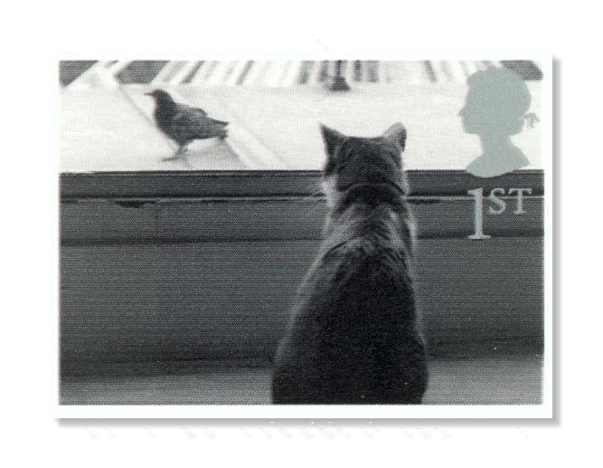 2001 GB2195 Cat watching Bird