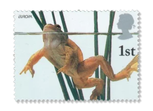 2001 GB2220 European Common Frog (Rana temporaria)