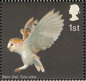 2003 GB2327  Barn Owl (Tyto alba), Common Kestrel (Falco tinnunculus)