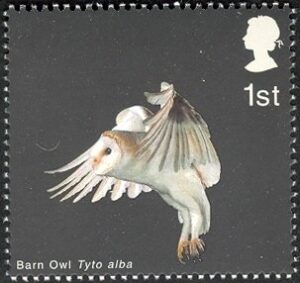 2003 GB2328 Barn Owl (Tyto alba) with folded Wings and Legs down