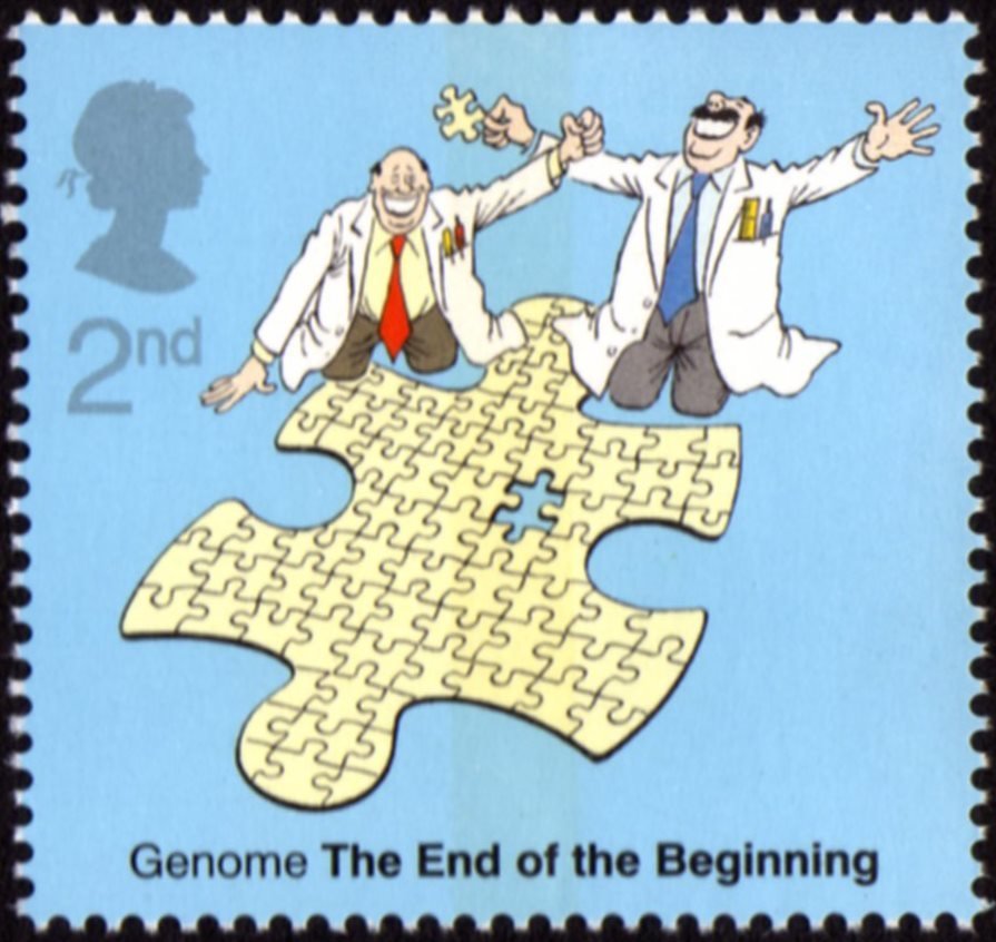 2003 GB2343 Microcosmos - The Genome