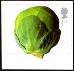 2003 GB2356 Brussels Sprout