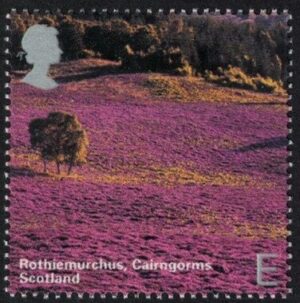 2003 GB2387  Rothiemurchus, Cairngorms
