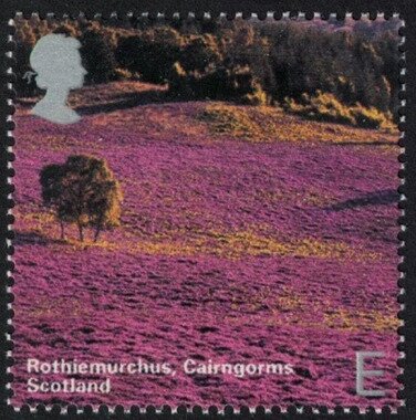 2003 GB2387 Rothiemurchus, Cairngorms
