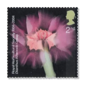 2004 GB2456  Flowers