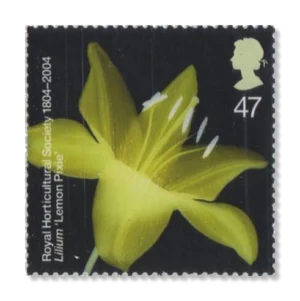 2004 GB2460 Lilium "Lemon Pixie"