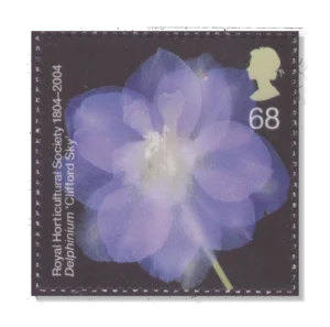 2004 GB2461 Delphinium "Clifford Sky"