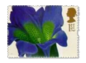 2004 GB2463 Flowers