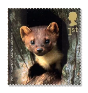 2004 GB2479 Woodland Animals