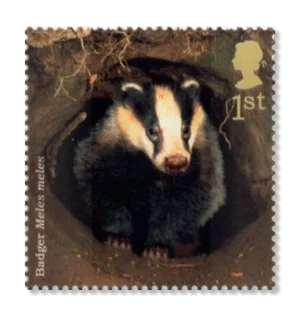 2004 GB2481 European Badger (Meles meles)
