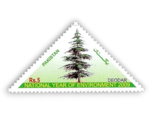 National Year of Environment National Tree Deodar