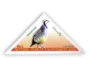 National Year of Environment Chukar
