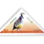 National Year of Environment Chukar