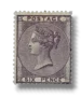 Queen Victoria Lilac