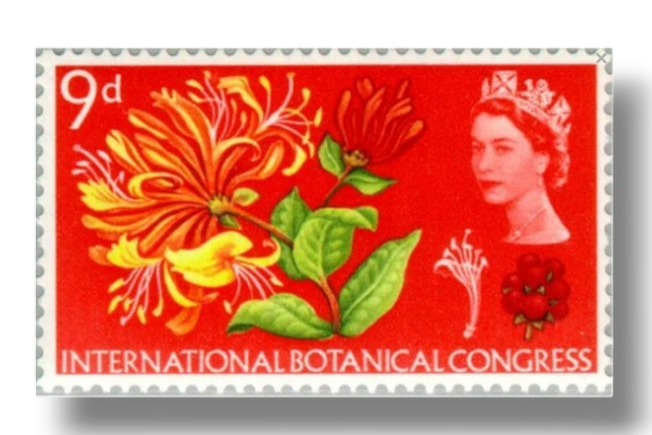Botanical Congress