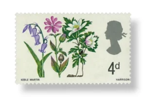 Bluebell