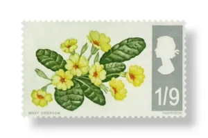 Primroses