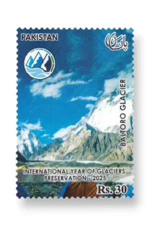 International Year of Glacier Preservation Baltoro Glacier