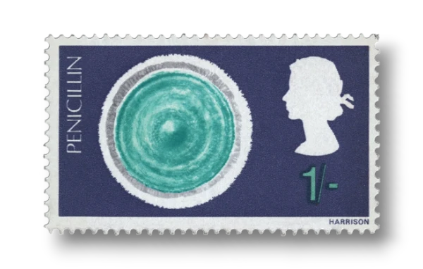 Penicillium notatum