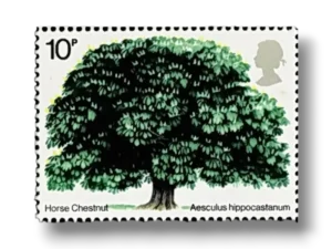 Horse Chestnut