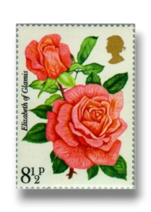 Centenary of the Royal National Rose Society Elizabeth of Glamis