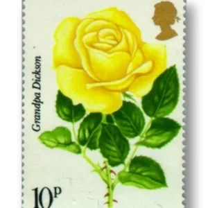 1976 GB1007 Centenary of the Royal National Rose Society Grandpa Dickson