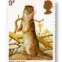 Eurasian Otter (Lutra lutra)