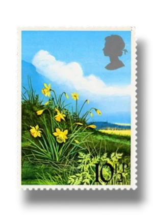 Daffodil