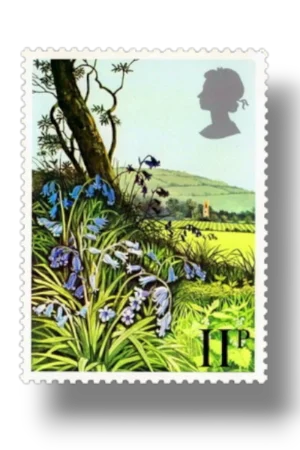 Bluebell