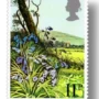 Bluebell