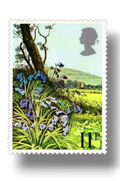 Bluebell