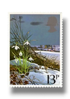 Snowdrop