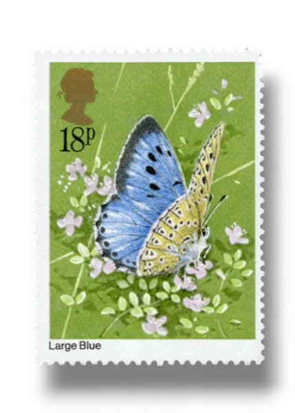 Large Blue
