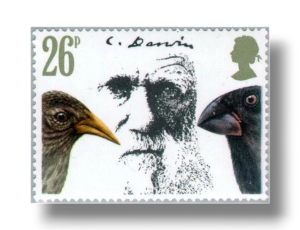 Darwin and cactus
