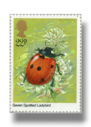 Coccinella septempunctata ladybird