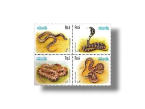 1995 PK956s Snakes
